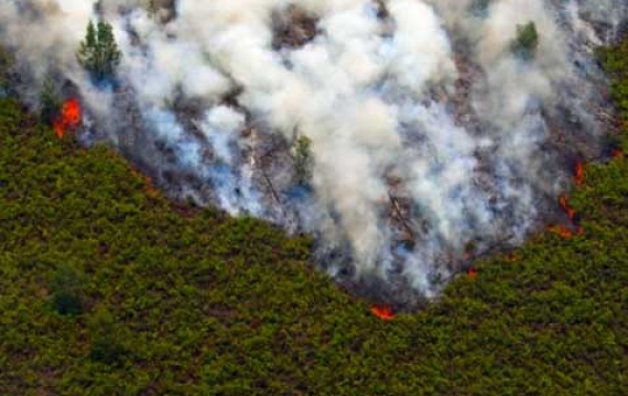 BMKG : Masuki Kemarau, Potensi Kebakaran Hutan di Riau-Jambi Tinggi